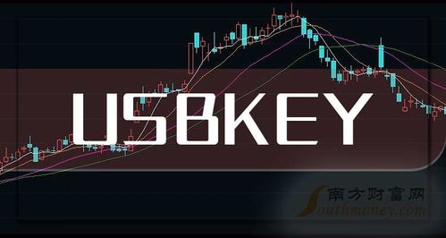 2025年USBKey上市龍頭企業(yè)名單發(fā)布，通訊產(chǎn)品研發(fā)引領(lǐng)新趨勢